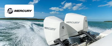 Mercury case study